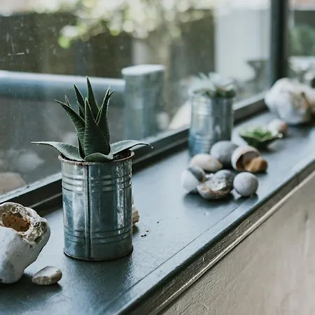 בית נופש La Vague - Acces Piscine